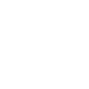 特徴